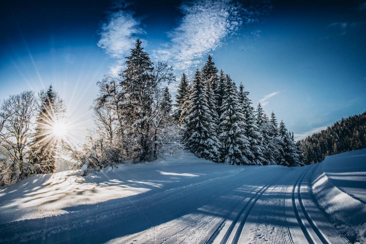 Apartment Four Peaks Flachau